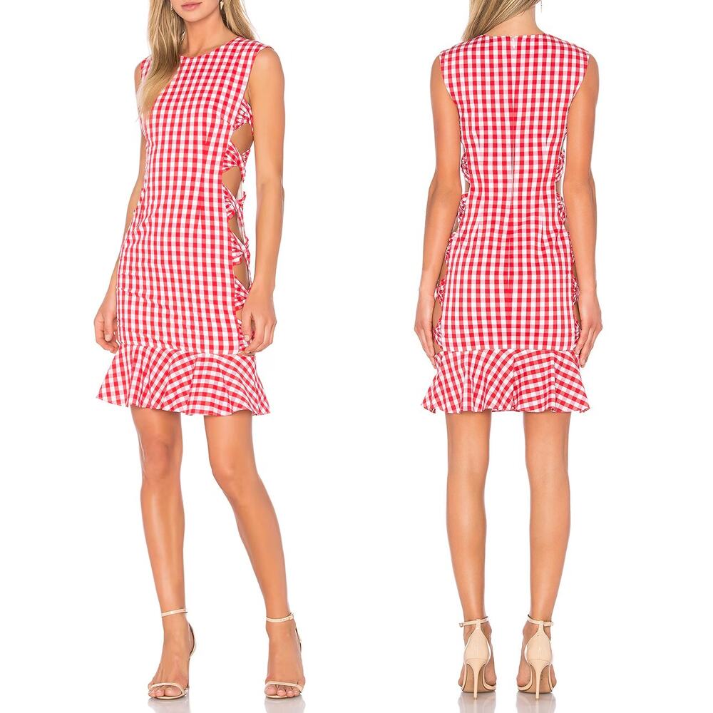 Fame & Partners Giovana Dress Red White Gingham Cut Out Revolve SZ 4 US NWT